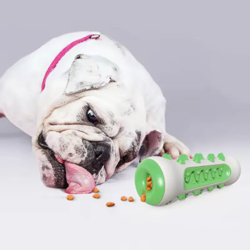 Bulldog resting beside the green chew toy with pieces of kibble at its open end